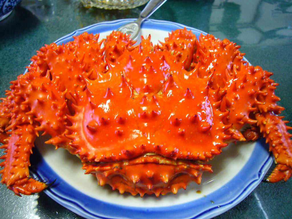 北海北の味】【超特大活カニ堅】オホーツク産訳なし花咲1尾2.1ｋｇ前後鮮度最高入手困難身入り90％前後 北海北の味超特大活カニ堅オホーツク産訳なし花咲1尾2.4 北海北の味超特大活カニ堅訳なしＢＩＧ花咲1尾2.2ｋｇ前後 北海北の味 北 北海北の味超特大活カニ堅在庫数点北海道産訳なし 北海北の味数量限定品極上堅大サイズ活カニオホーツク産活