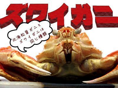 ずわい蟹甲羅盛4袋セットズワイカニのほぐし身とズワイ蟹の味噌を一緒に甲羅に詰め込んだ逸品オホーツク産の松葉ガニ 焼きかにや甲羅酒_10