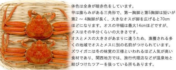 ずわい蟹甲羅盛4袋セットズワイカニのほぐし身とズワイ蟹の味噌を一緒に甲羅に詰め込んだ逸品オホーツク産の松葉ガニ 焼きかにや甲羅酒_8