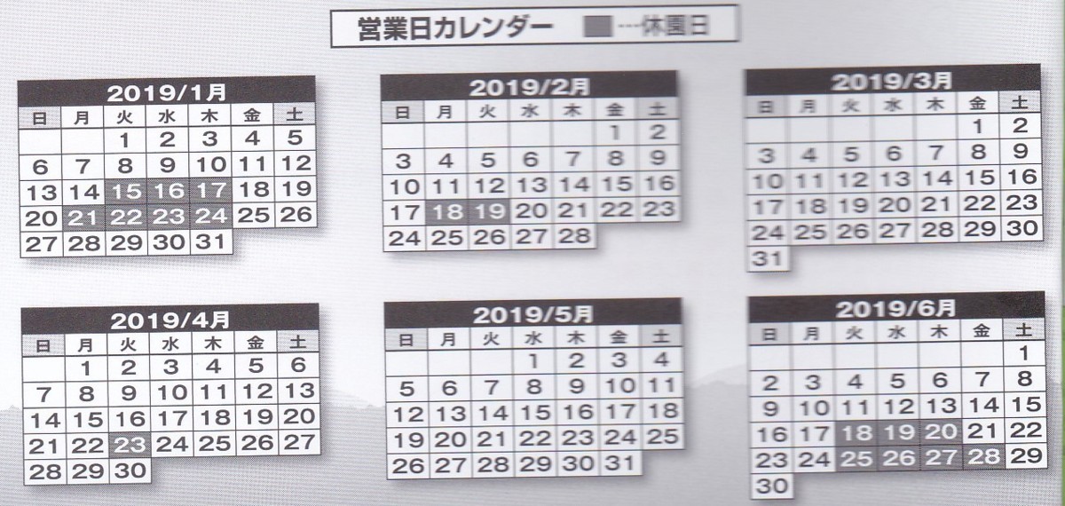よみうりランド株主優待券1冊