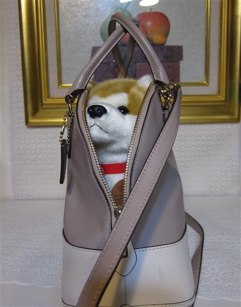 コーチ COACH ハンドバック ２ウェイ ２トーン ショルダーバッグ 薄いベージュ コーチ COACH ハンドバッグ 0 ミニボストンバッグ A4