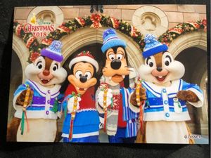 ディズニー スペシャルフォトのヤフオク の相場 価格を見る ヤフオク のディズニー スペシャルフォトのオークション売買情報は16件が掲載されています