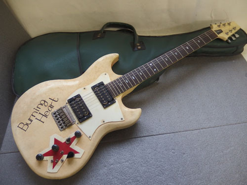 Aria II Pro TS-500 TS-500（中古）楽器検索デジマート Sound 商品詳細