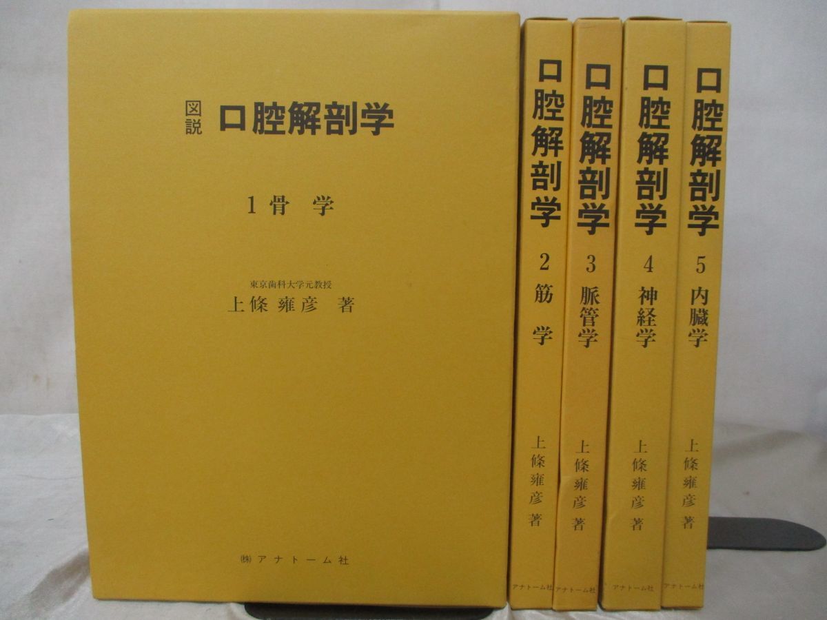 本 アナトーム社 口腔解剖学 6冊セット