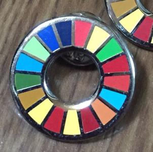 低価，正規品 SDGs ピンバッジ 最新仕様 国連本部限定販売 日本未発売 UN(ピンバッジ)｜売買されたオークション情報、yahooの商品情報をアーカイブ公開 - オークファン その他