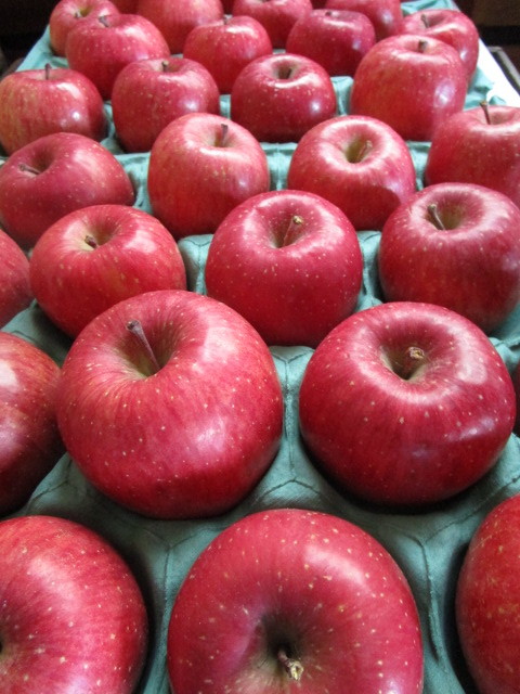 【等級 秀】　蜜入れサンフジりんご10k　2段詰（16玉～18玉）贈答用（ 数も残り少なくなりました）_1