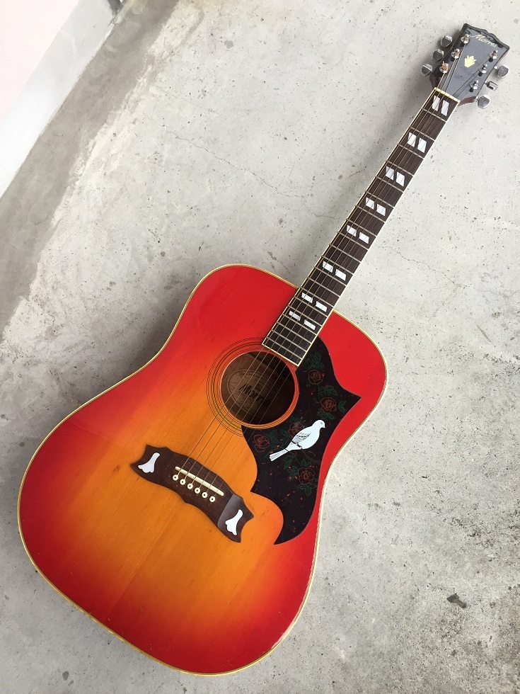 WD-25 Gibson kan様専用Morris Dove コピーモデル kan様専用 モーリス