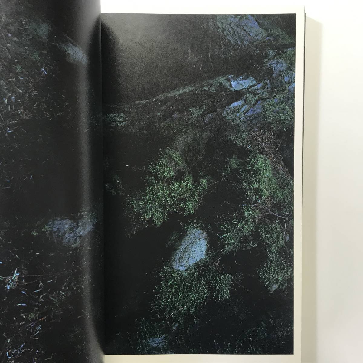 ⁄ QUINAULT - 上田義彦写真集 クウィノルト 文福 上田義彦 上田 