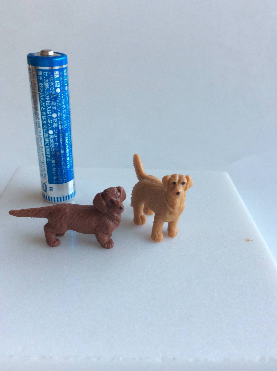 ミニチュア 動物 フィギュア ゴールデンレトリバー ミニチュアダックス 2匹 ジオラマ Not シュライヒ 犬 イヌ ミニチュアダックス 生き物 売買されたオークション情報 Yahooの商品情報をアーカイブ公開 オークファン Aucfan Com