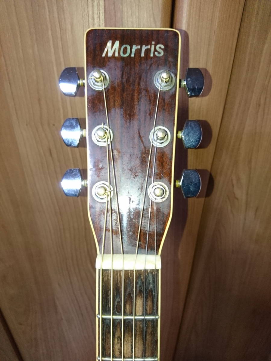 モーリスMF−207 エレアコ仕様！ Morris MF-207 アコースティック