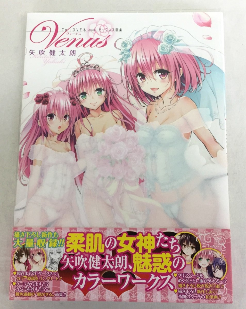A00 雑誌 To Loveる とらぶる ダークネス画集 Venus 矢吹健太朗 イラスト集 画集 イラスト集 原画集 売買されたオークション情報 Yahooの商品情報をアーカイブ公開 オークファン Aucfan Com