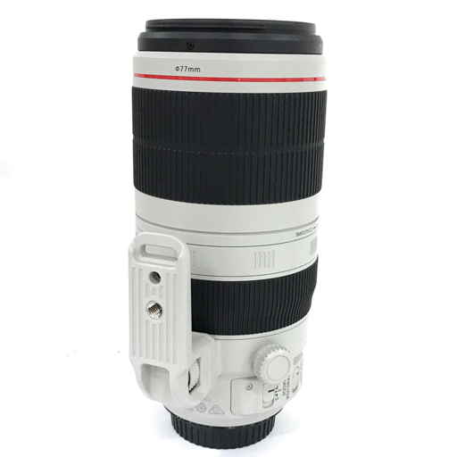 Canon EF 100-400mm f⁄4.5-5.6L IS II USM Lens