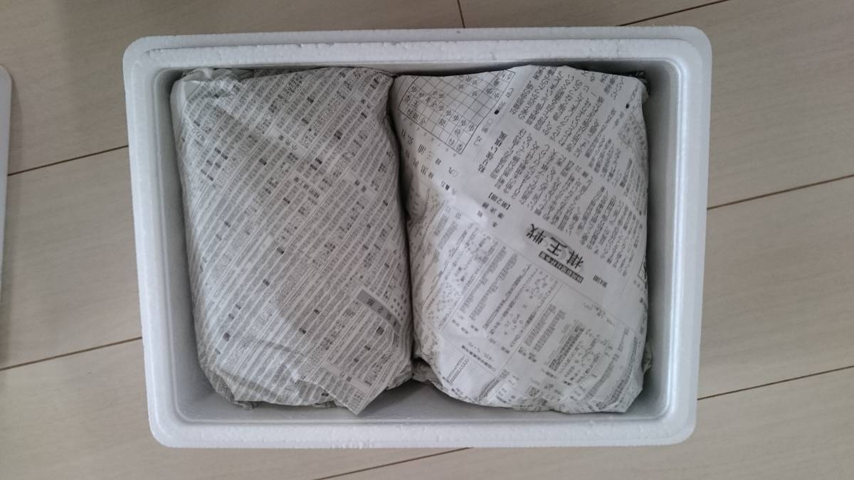 静岡産のミナミヌマエビ300匹稚エビが多くなってきます（1割死着保障）※必ず説明文を読んで 入札して下さい※_5