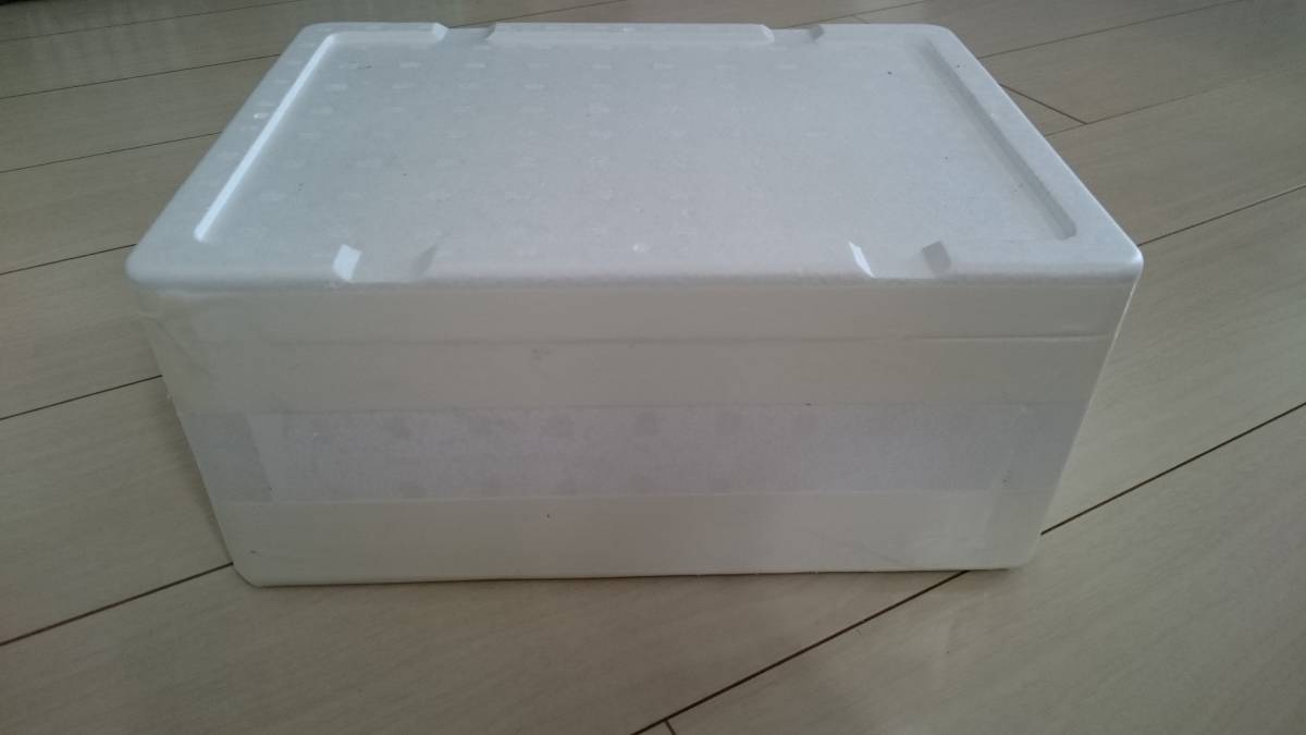 静岡産のミナミヌマエビ300匹稚エビが多くなってきます（1割死着保障）※必ず説明文を読んで 入札して下さい※_6