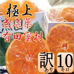 先行予約11月発送！　訳あり　10kg 無能農薬有田みかん　和歌山　有田　みかん　天照園みかん　天照園　和歌山みかん　無農薬_1