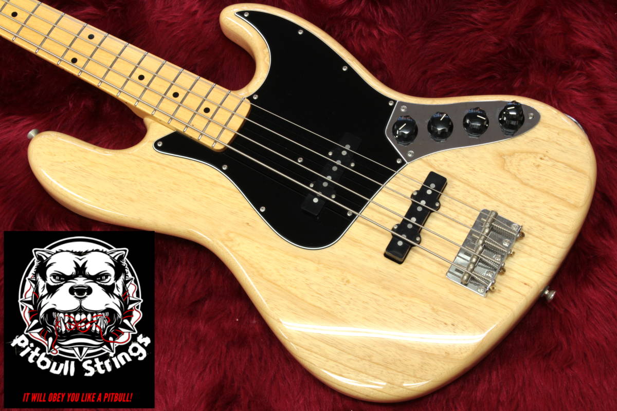 Custom Guitar Freedom Research FREEDOM C.S. RESEARCH GUITAR CUSTOM 