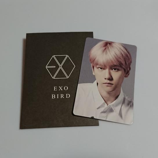 格安，高品質 ベッキョン☆トレカ EXO「BIRD」購入特典 FC会員限定特典