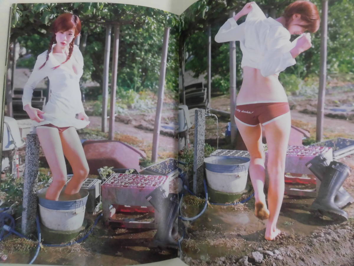 14か353 写真集 月刊シリーズ 14冊 ほしのあき 矢部美穂 中山エミリ 佐藤江梨子 平子理沙 嘉門洋子 井川遥 鈴木茜ほか 複数被写体 売買されたオークション情報 Yahooの商品情報をアーカイブ公開 オークファン Aucfan Com