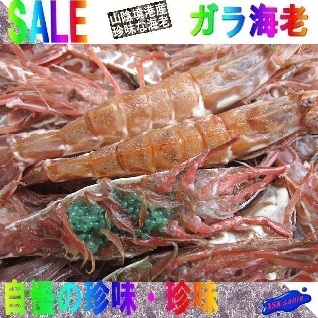  3箱 珍味な海老 ガラ海老1kg 境港自慢の逸品 活冷凍(エビ)｜売買されたオークション情報、yahooの商品情報をアーカイブ公開 - オークファン その他