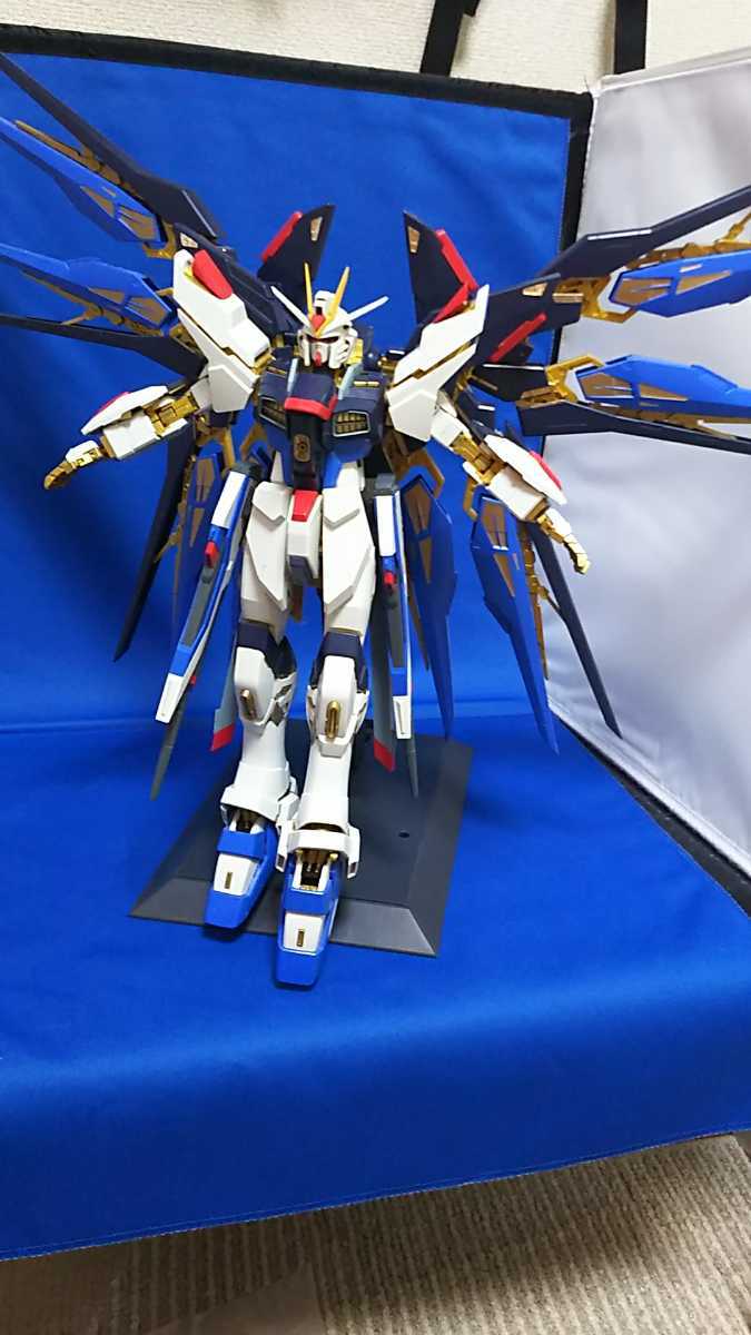 PG 1/60 ストライクフリーダムガンダム 素組 ジャンク ガンダムSEED