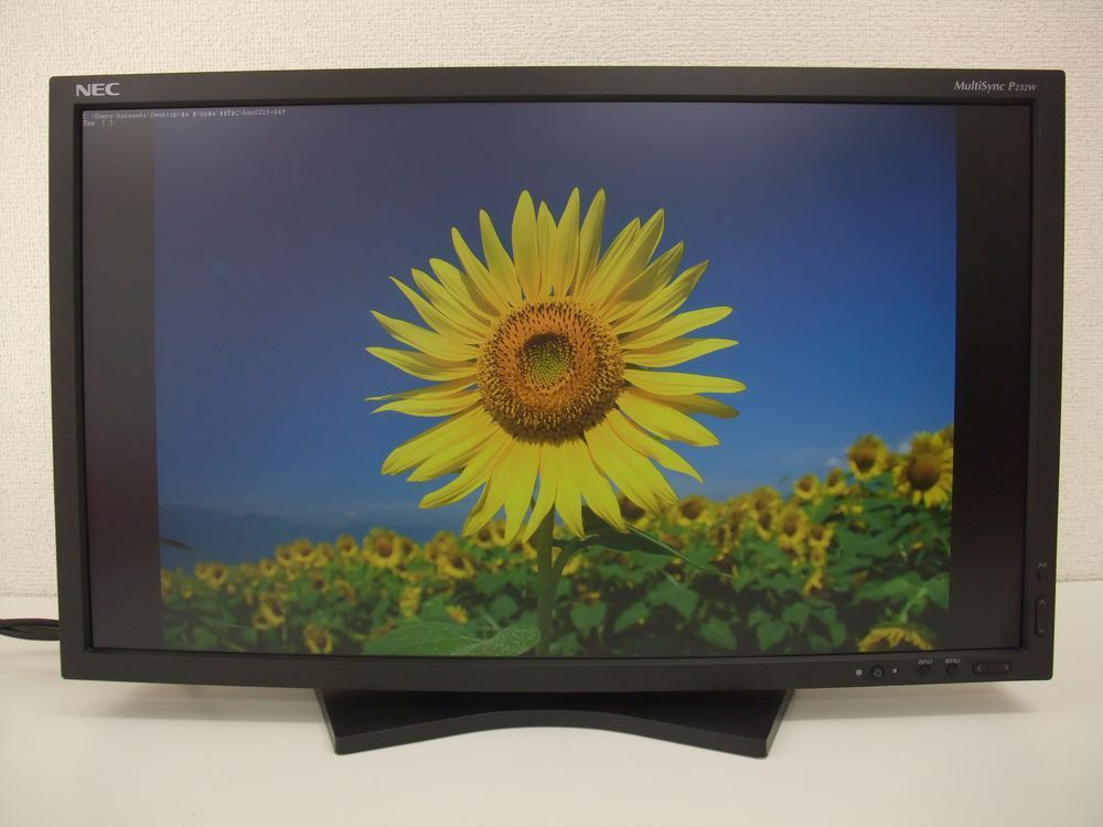 2026新款 超 NEC P232W-BK 23インチ液晶ディスプレイ 沖縄離島以外(23インチ～)｜売買されたオークション情報、yahooの商品情報をアーカイブ公開 - オークファン 23インチ～