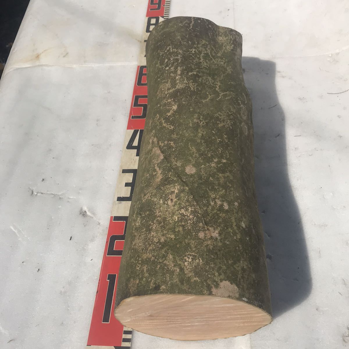  ツバキ 椿 ヤブツバキ 長さ 約51㎝ 直径約16.5-17㎝ 丸太 木材 無垢材／彫刻 木工 工芸品等の材に/s2(その他)｜売買されたオークション情報、yahooの商品情報をアーカイブ公開 - オークファン その他