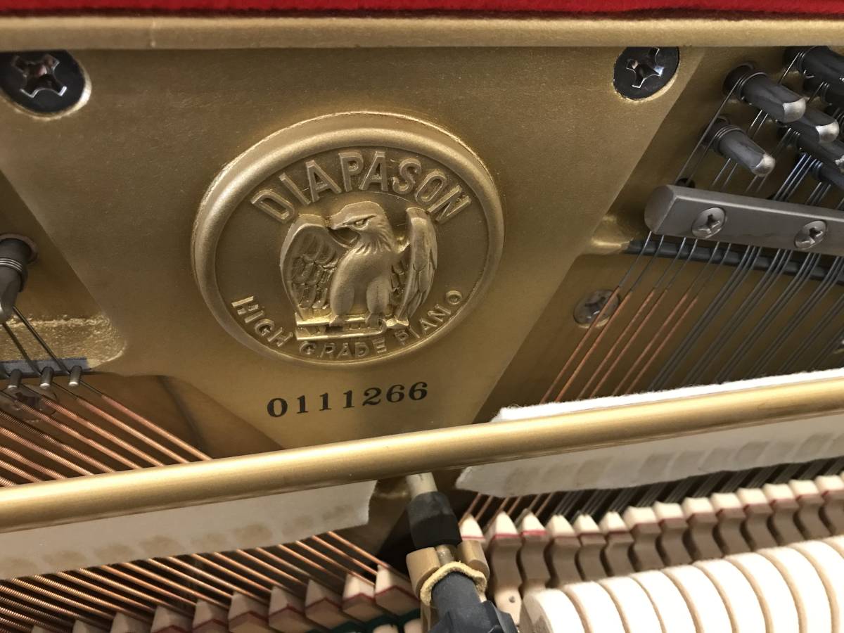 TOMBO Grandaile GT-60B アコーディオン ケース付き 【公式通販】