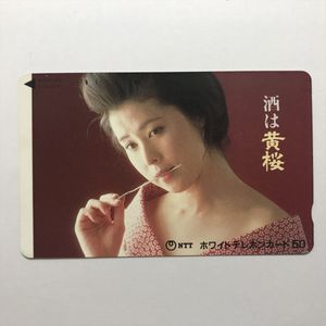 叶 和貴子のYahoo!オークション(旧ヤフオク!)の相場・価格を見る