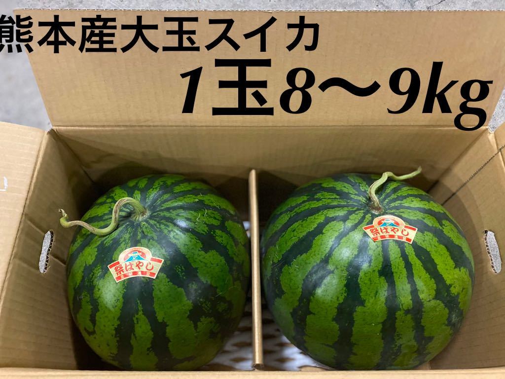《毎年大好評！！》本場熊本産小玉スイカ 送料無料 送料無料 訳あり☆スイカ送料込み大玉スイカの2玉入り1箱5kg玉☆熊本産 お待たせ致しました！！》熊本特産小玉スイカ 大玉スイカ(祭ばやし)3L 熊本県産 送料込み