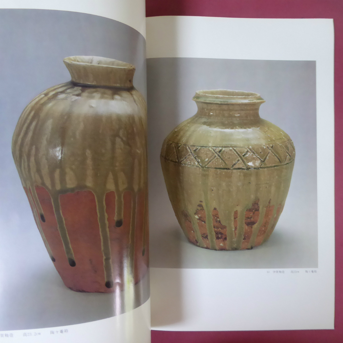 a8図録【生誕百年記念 北大路魯山人作品抄/1983年】黒田陶々菴:魯山人と