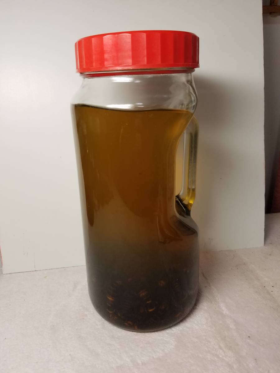 焼酎 スズメバチ 公式通販 （オオスズメバチ漬け） 蜂のお酒300ml