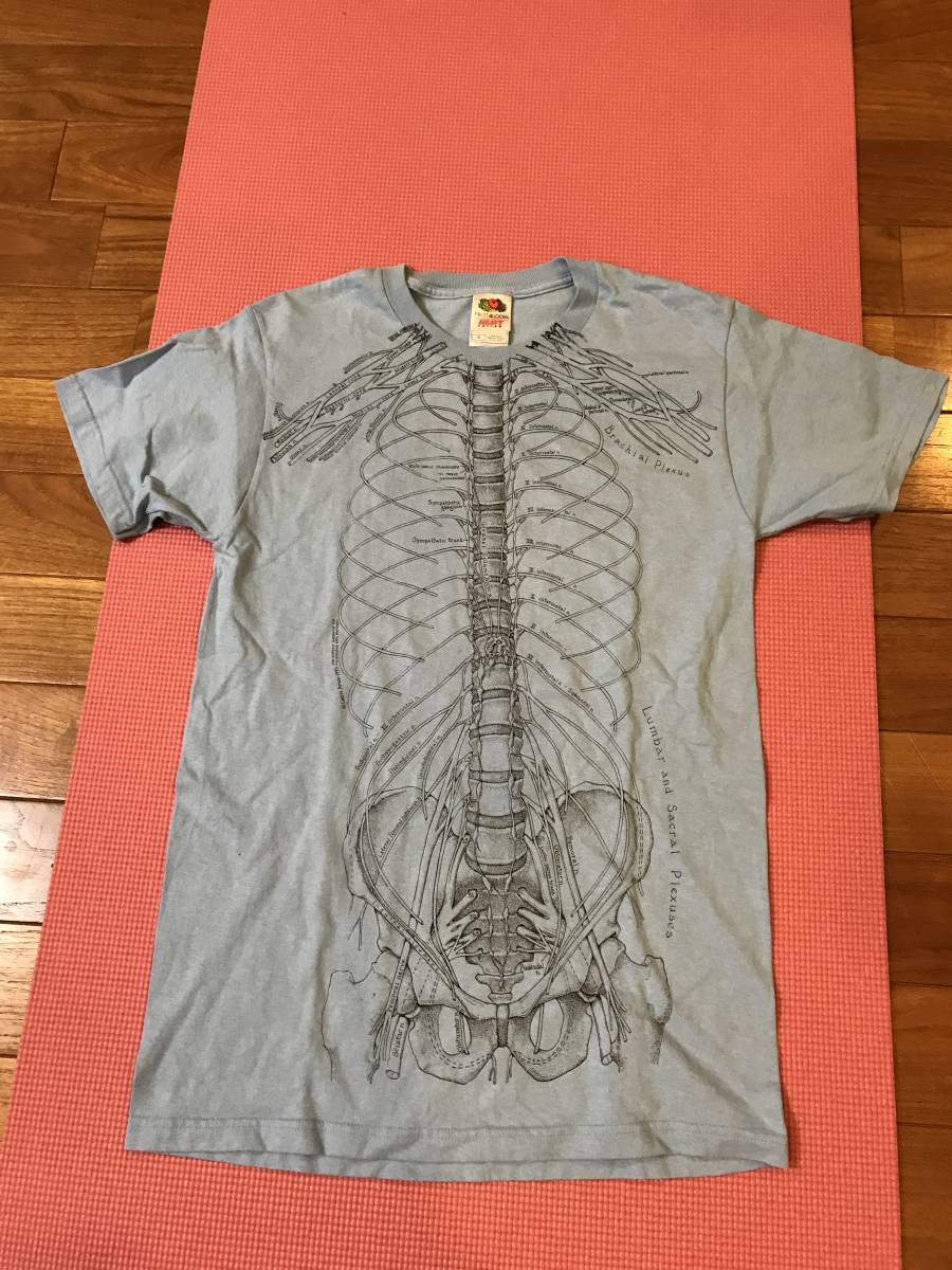 Leslie Arwin 1978 骨格標本 だまし絵 Tシャツ S プリント アート  