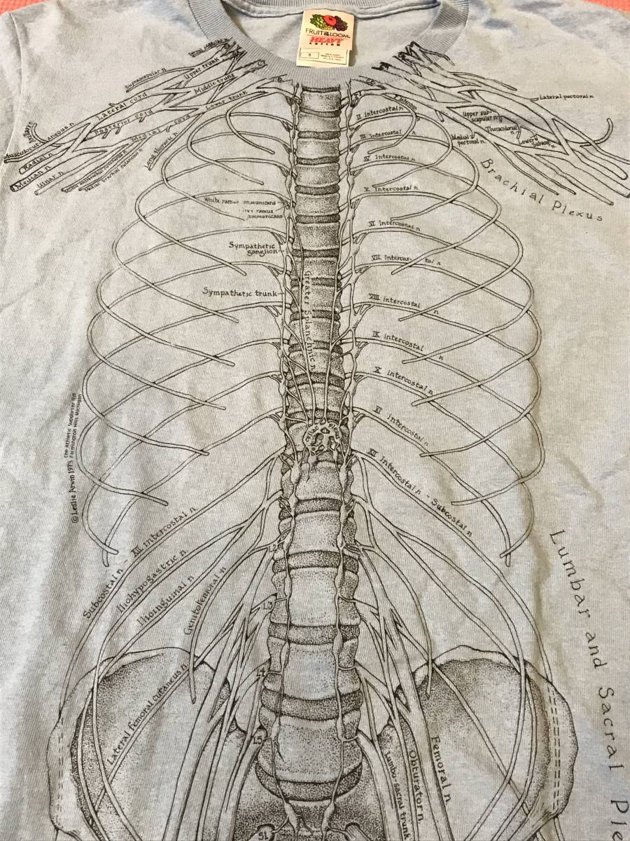 Leslie Arwin 1978 骨格標本 だまし絵 Tシャツ S プリント アート  