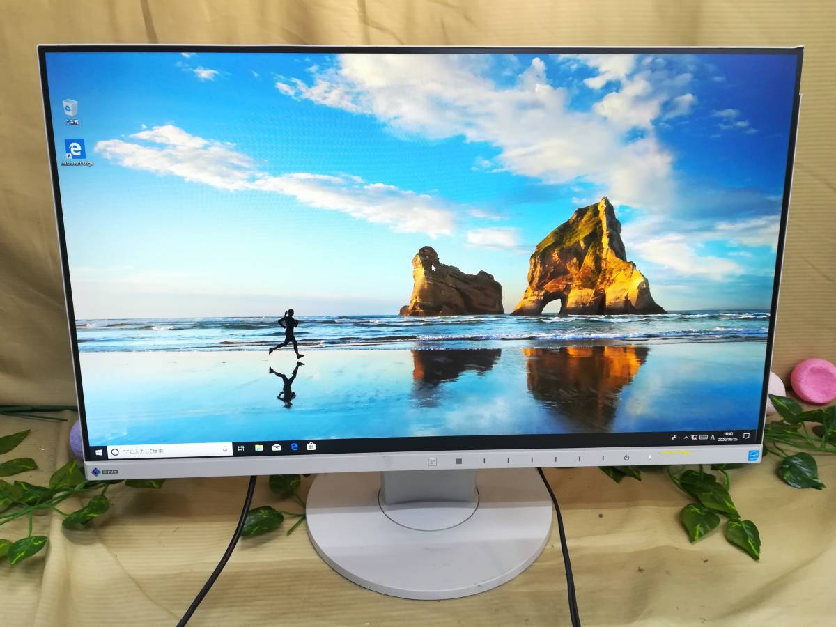EIZO FlexScan EV2450[23.8インチ][フルHD/D-SUB/HDMI/DVI/Displayport 