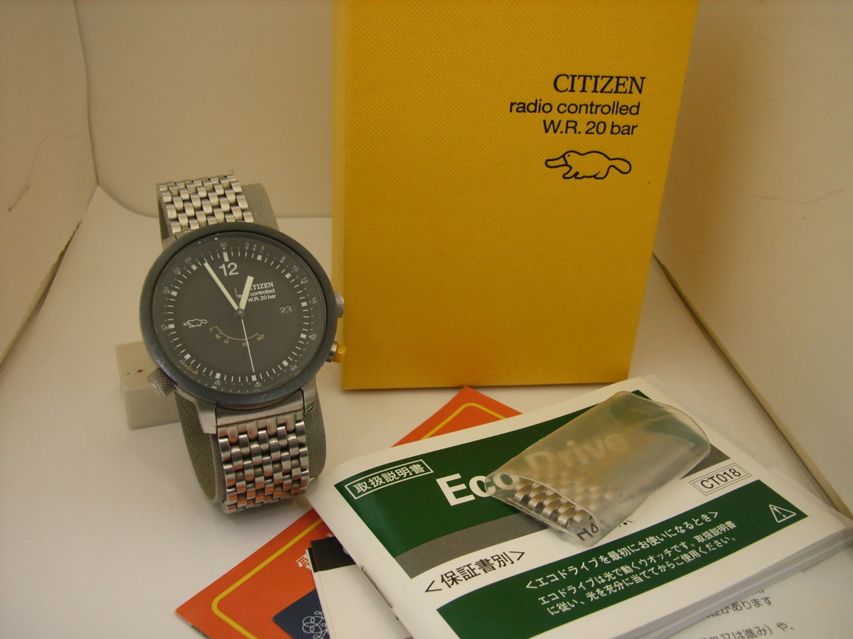 GRV リアルスケールモデル CITIZEN GRVエディション エディション 