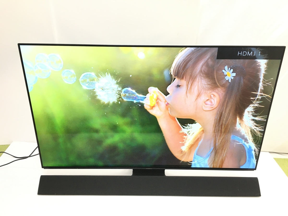 2021年製 極美品 パナソニック Panasonic VIERA プライベート 【引取