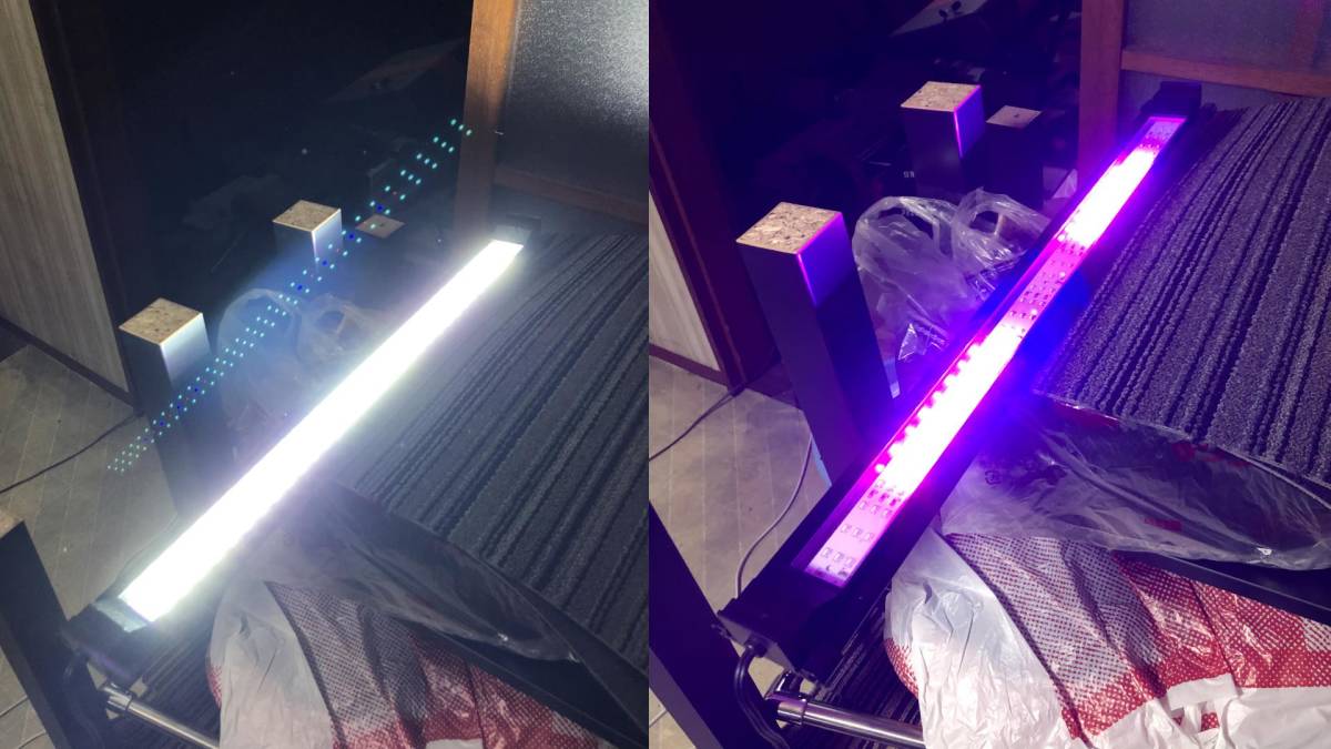 「引き取り限定」kotobuki フレームレスガラス水槽60cm×45cm×45cm（水槽台＆おまけフラットLED600照明付き）_3