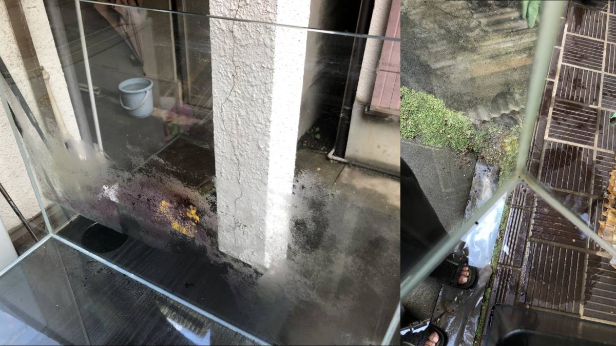 「引き取り限定」kotobuki フレームレスガラス水槽60cm×45cm×45cm（水槽台＆おまけフラットLED600照明付き）_9