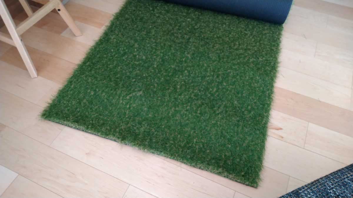 人工芝　6.8m x 1m ｘ 厚さ3.5cm　ロールからカットしたあまり ☆ロブテックス\u2044LOBSTER C200 エビ万力 公式通販 レバー(その他)｜売買 レバー(その他)｜売買された