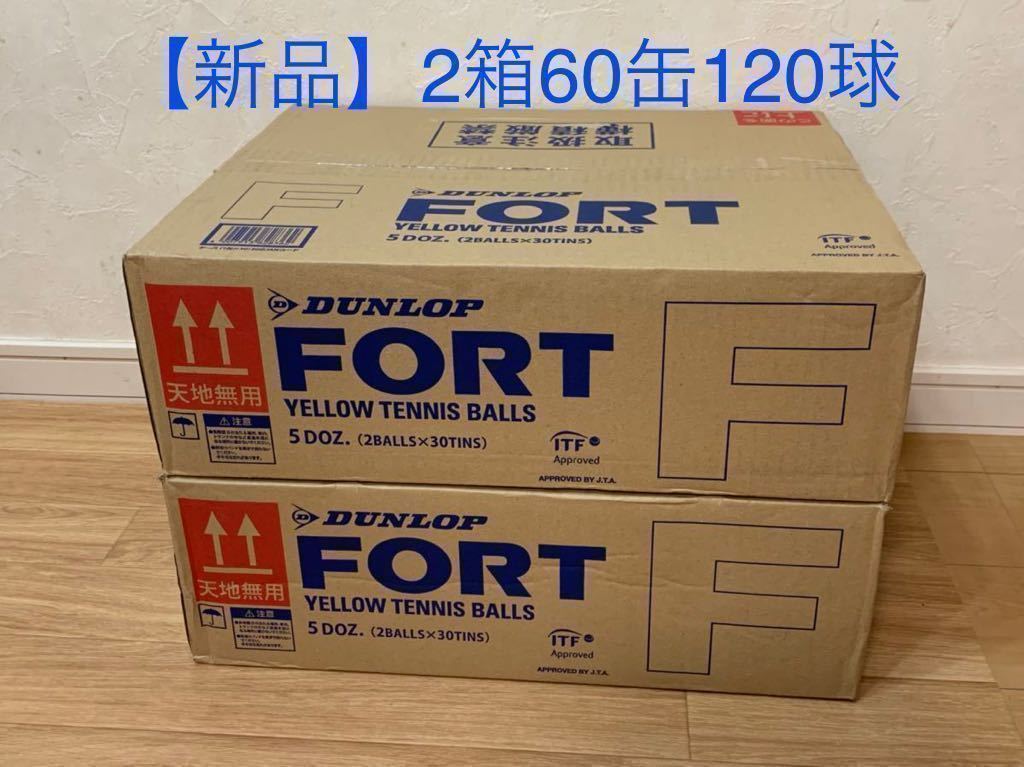 安い，爆買い DUNLOP ダンロップ FORT フォート 2個入 2箱 60缶/120球(硬式用)｜売買されたオークション情報、yahooの商品情報をアーカイブ公開 - オークファン 硬式用