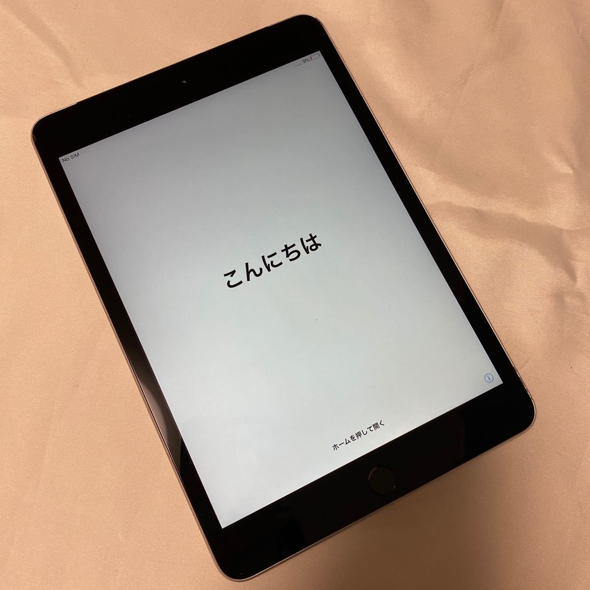 開封済】Apple iPad (第10世代) 、iPadの夢、福袋、福箱 Apple iPad