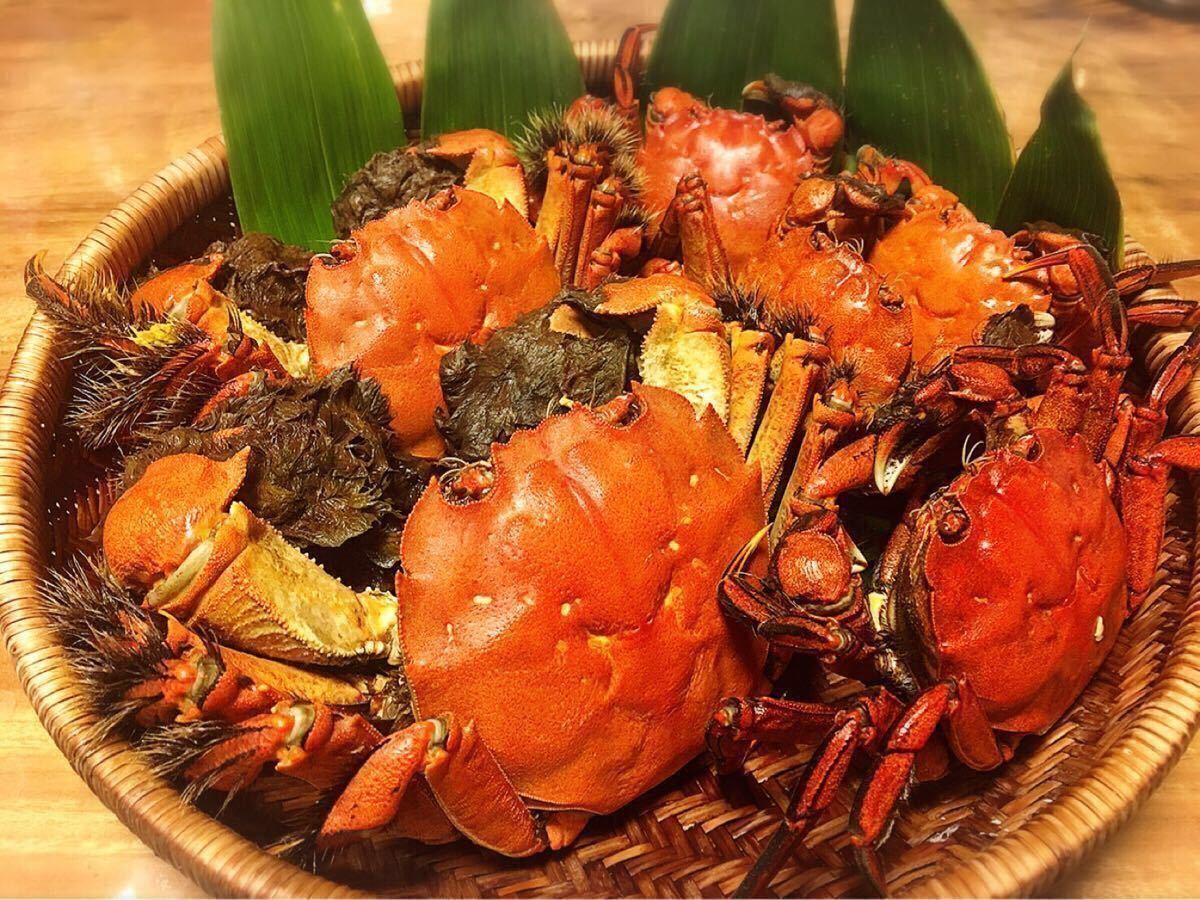 天然 モクズガニ 四万十川 清流 約1kg 濃厚な旨み 大小混合 冷凍 天然 モクズガニ 四万十川 清流 約1kg 濃厚な旨み 大小混合 冷凍