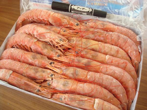 赤えび 赤エビ 赤海老 2kg 築地丸中 1箱 | : 業務用 20〜40尾 L1 超特大 送料無料 赤海老(最大級)2kg! 約40尾~60尾 アルゼンチン海老