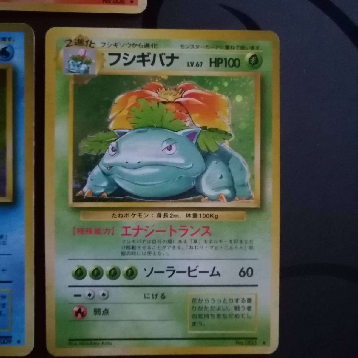 ポケモンカード 旧裏 旧裏面 初代 御三家 リザードン フシギバナ