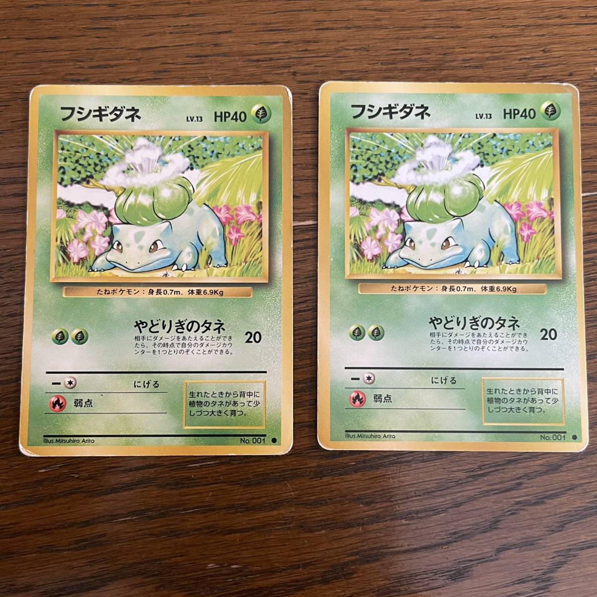 ポケモンカード 旧裏面 わるいフシギソウ ポケモンカード公式 ポケモンカード 旧裏面 わるいフシギソウ ポケモンカード公式