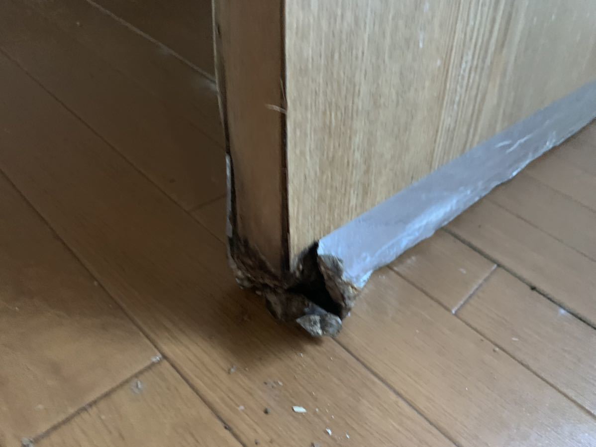 【今月限り！】 引戸 引き取り 1枚 古屋 アンティーク リフォーム 扉 東京 横60×高さ173.5cm×厚さ3cm 引き取り複数枚値引き_3