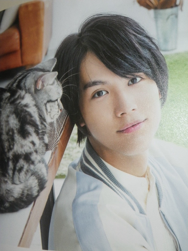 最大66 Offクーポン ねこ男子 Www Hallo Tv