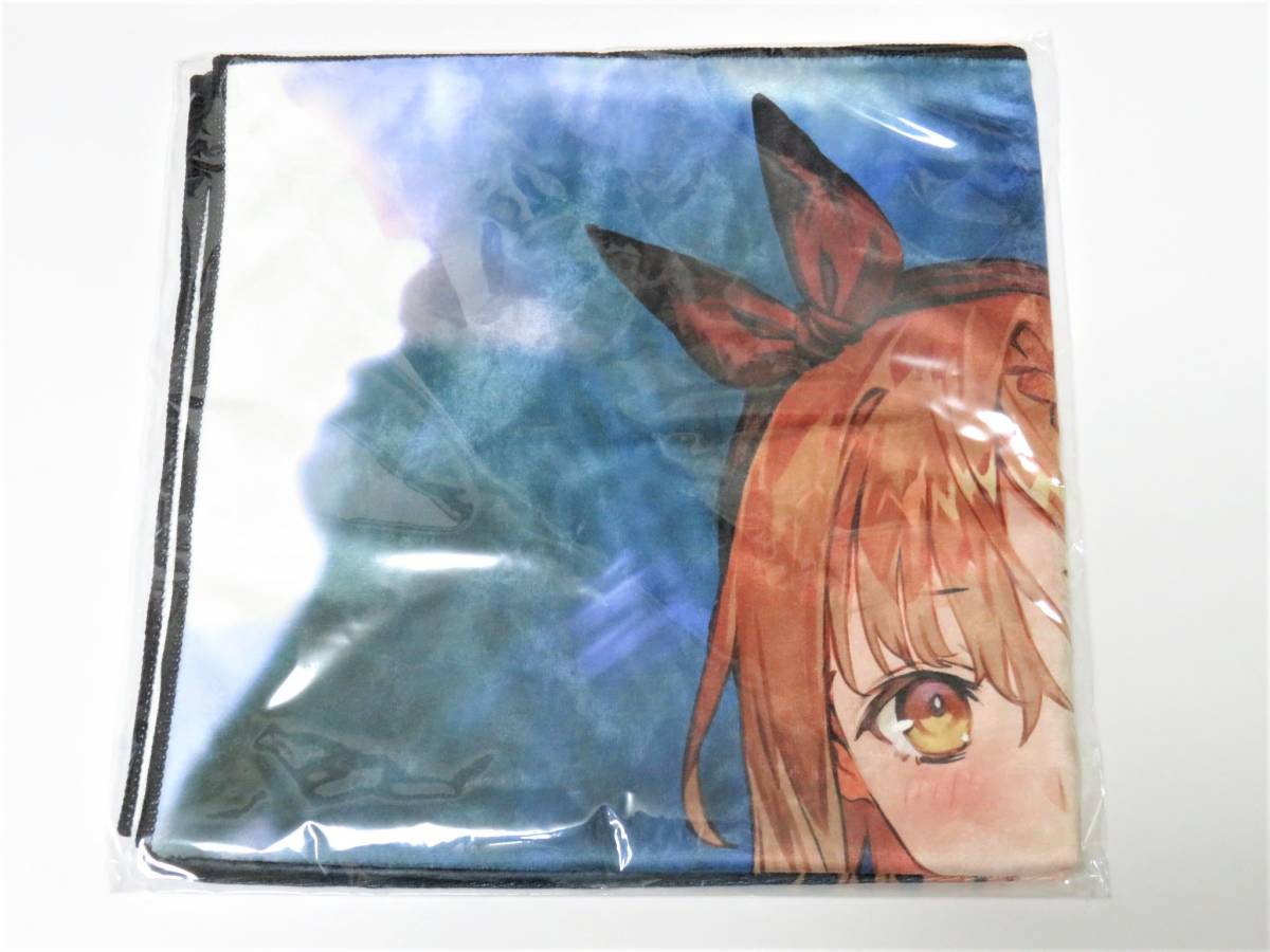 送料無料 描き下ろしビッグタオル type.ライザのアトリエ2（新品未