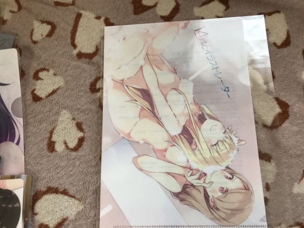 434クリアファイル 14歳とイラストレーター 溝口ケージ Ntype 2 青春ブタ野郎 クリアファイル 売買されたオークション情報 Yahooの商品情報をアーカイブ公開 オークファン Aucfan Com