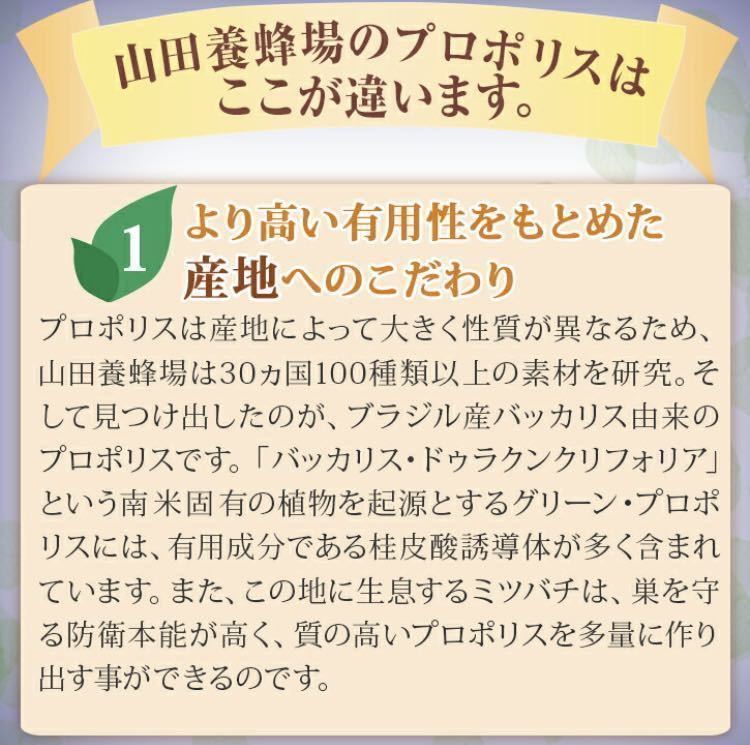 プロポリス300 100球×5 ５袋セット　山田養蜂場 新品未開封 山田養蜂場 プロポリス300 プロポリス サプリ サプリメント 100球